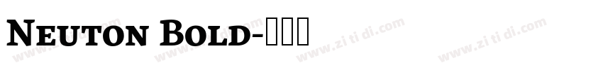 Neuton Bold字体转换